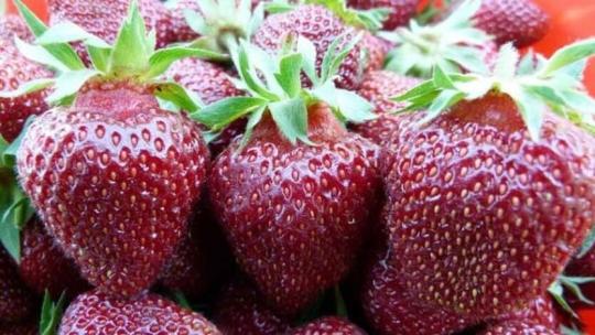 Клубника "РУБИНОВЫЙ КУЛОН" (6шт.)